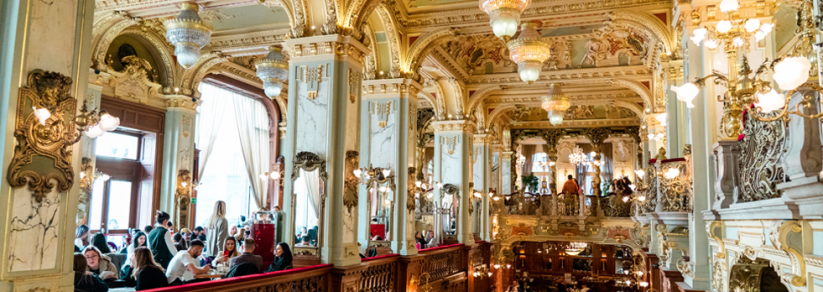 Is the New York Cafe Overrated? | Budapest Travel Guide | Hungary&nbsp;Travels