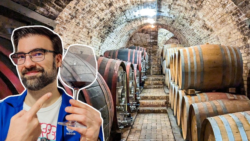 Traditional Guesthouse and Winery Experience in the Hungarian Countryside: Szekszárd Wine&nbsp;Region